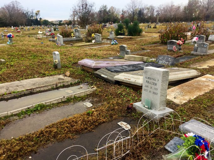 Ver imagen en Twitter