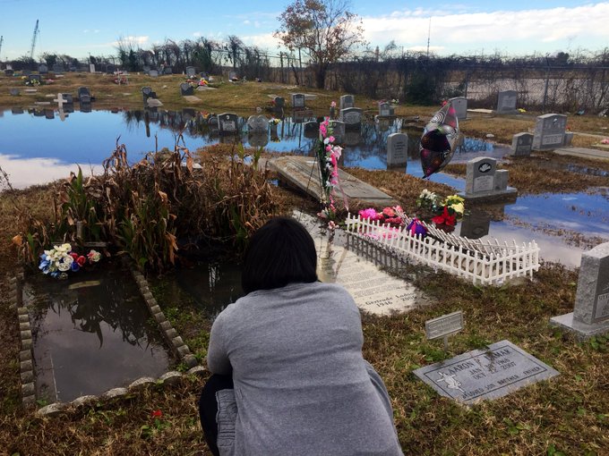 Ver imagen en Twitter