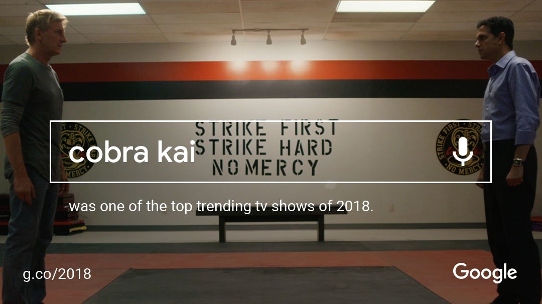 Strike First. Strike Hard. You’ve made #CobraKai one of Google’s top trending TV shows of 2018. g.co/2018 #YearInSearch