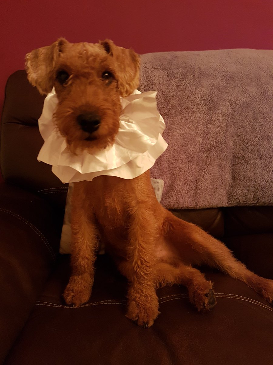 DivineToonist's tweet photo. I think Mr. Hawlings may have misplaced his Barney Dog! ๐ #TheBoxOfDelights #ZeroPups #BarneyDog https://t.co/3QXqXuSGAQ