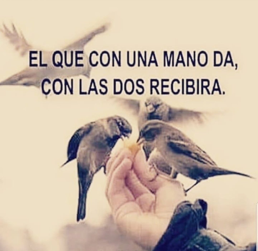 mariaednyr's tweet photo. #ELQUE https://t.co/VjBAXSExuL