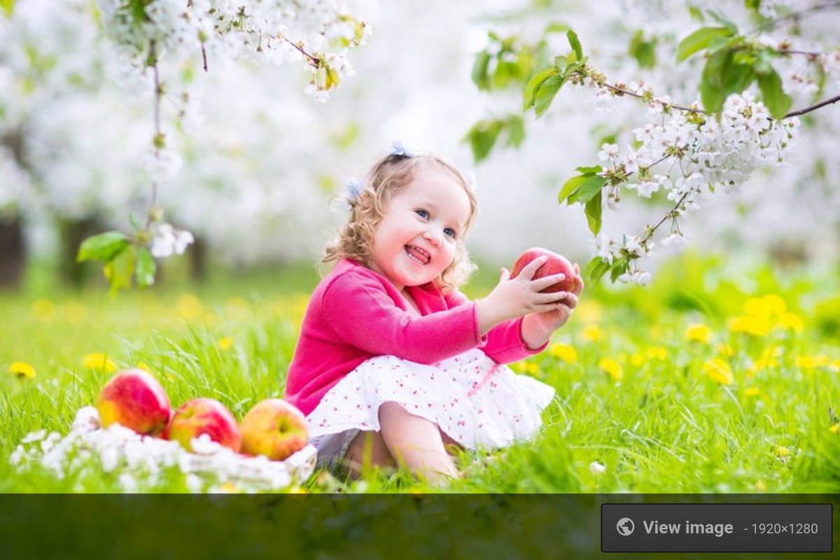 grmansupper's tweet image. 