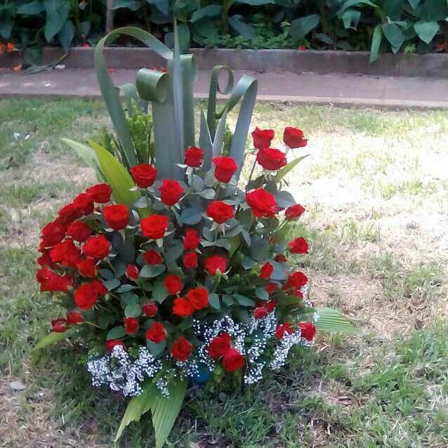 fortunateflowe1 tweet picture