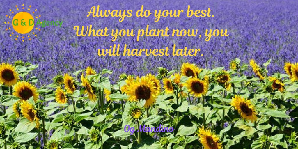 ganddagency's tweet image. Do your best, it will come to you.
#GandDagency #smm #smileandbecreative #doyourbest
#Tweetlikes #tweetposts #tweetquotes #tweetfollowers
#creative #creativemarketing #creativebusiness #creativeplanning