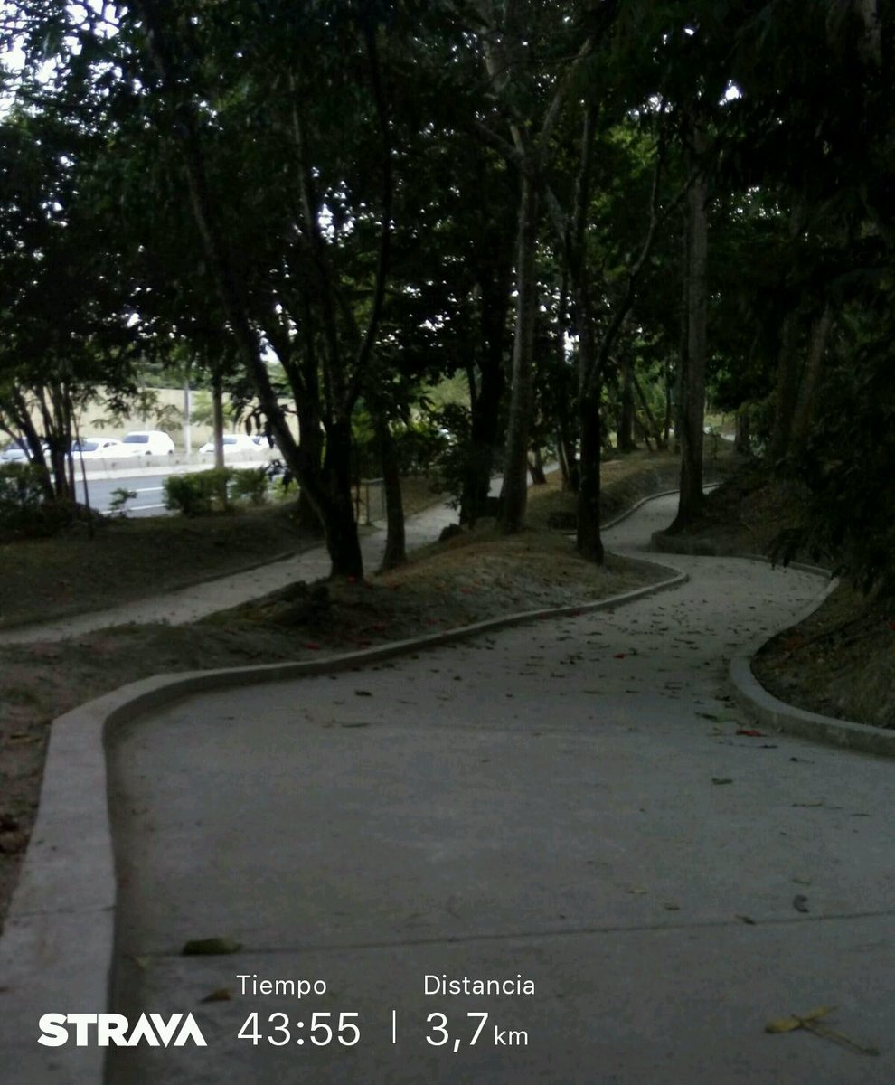 Portmarv26's tweet photo. Día 6. #CelestinoChallenge Hoy fue día de caminata. 🚶💯✌ #strava #LoveRunSmile #YoElegiCorrer #correVIVEsiente #CorrerEsMiPasion #CorrerMeHaEnseñado #RunningWhitDogs #RunningMan https://t.co/h8w1UEupMC