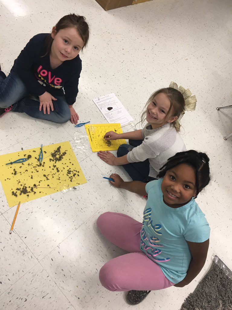marleneaking's tweet photo. 2nd  graders dissecting owl pellets in Ms Emery’s class today. #kingstonk14pride #keeplearning https://t.co/xzpP4CQTRL