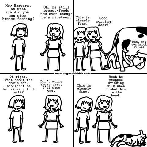 почему веганы не пьют молоко. веганы и молоко. почему веганы не пьют молоко. почему вегетарианцы не едят яйца. почему веганы не пьют молоко.