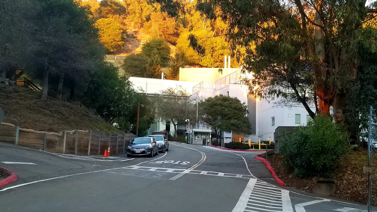 mariakzurek's tweet photo. To the @LBNLBioSci and @eesalbnl buildings of @BerkeleyLab, take Calvin Rd, named after the #NobelLaureate who discovered the “dark” photosynthetic reactions that convert carbon dioxide and other compounds into glucose. 🌿🧪👨‍🔬 #StreetsOfBerkeleyLab https://t.co/9M48HqBMen https://t.co/61rjtVgx5c