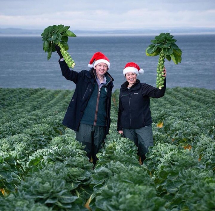 WaitroseHannah's tweet photo. There is nothing that shouts Christmas more than Sprouts! Last week I visited our grower in Scotland who we have just launched baby sprouts with to utilise as much crop as possible #lesswaste #babysprouts #WeArePartners  #NewWeek  #WaitroseAndPartners https://t.co/4W9KcK1qAg