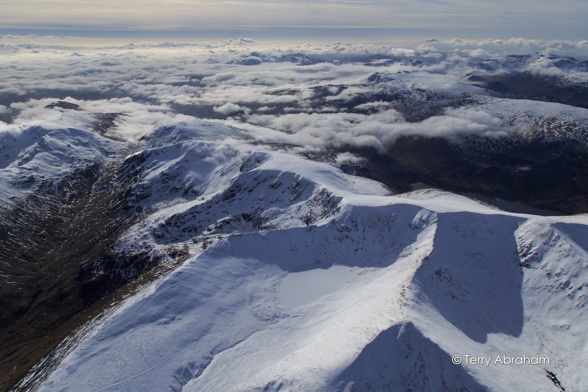 Terry Abraham tweet media