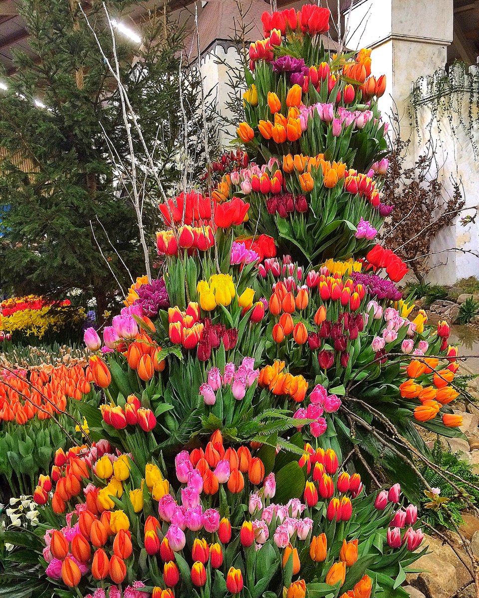 Ik heb ‘t al vaker gezegd, Er moeten méér #bloemen op Twitter! RT!