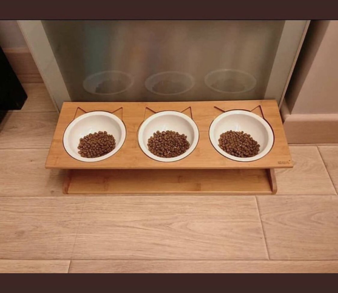 cat logic food bowl