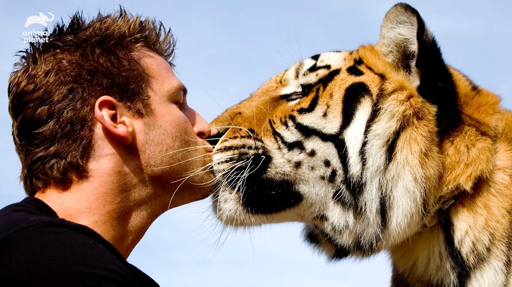 Animal Planet sur Twitter : Animal Planet sur Twitter :
