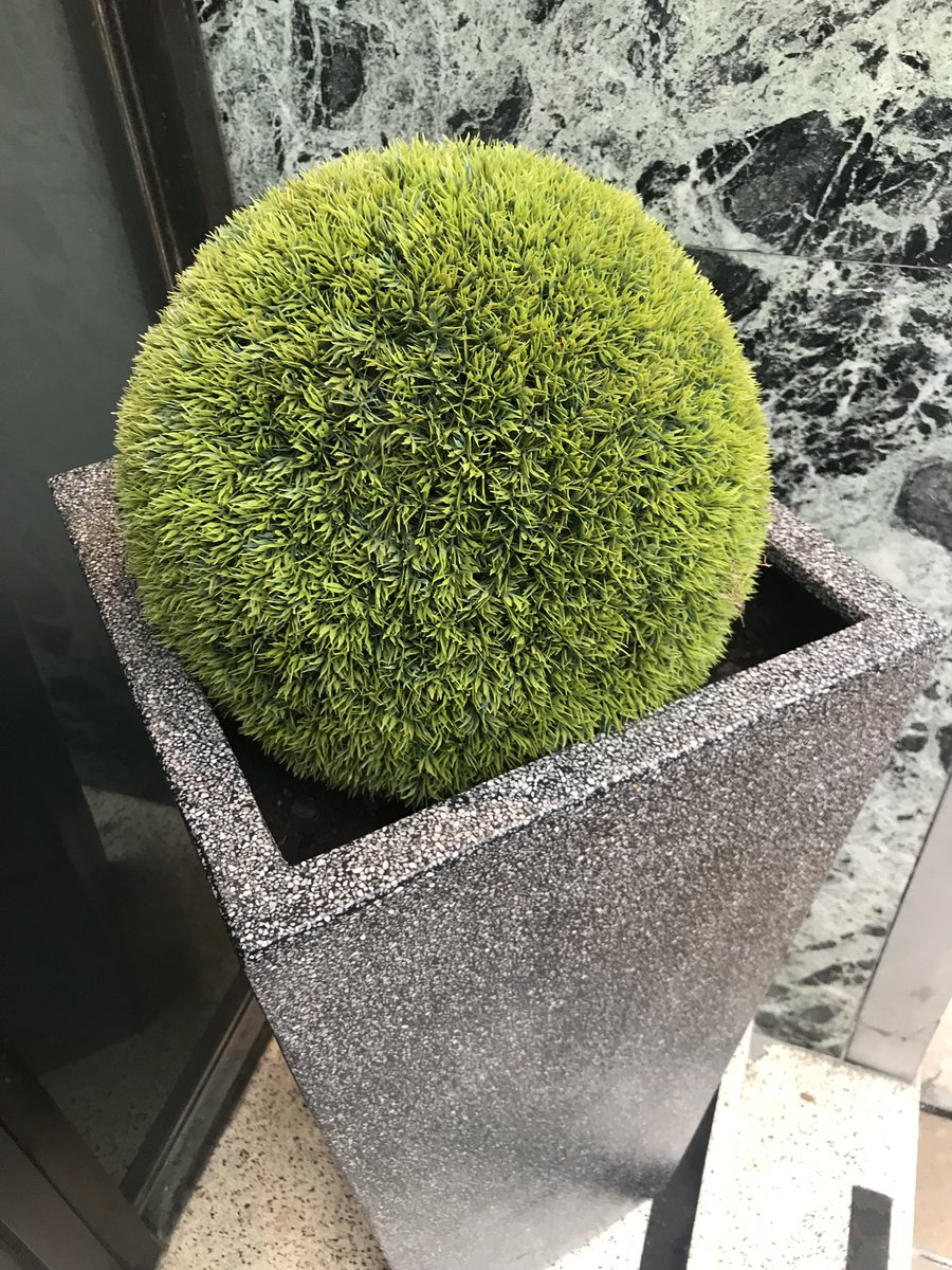 AdamStokesChef's tweet photo. Has anyone seen one of our topiary balls knocking round B’ham City Centre, possibly used as a football on Sunday! Intrestingly it was connected to some bricks so not sure how far it would have got. Pls RT. Thanks @RestaurantAdams https://t.co/zww3cOYH39