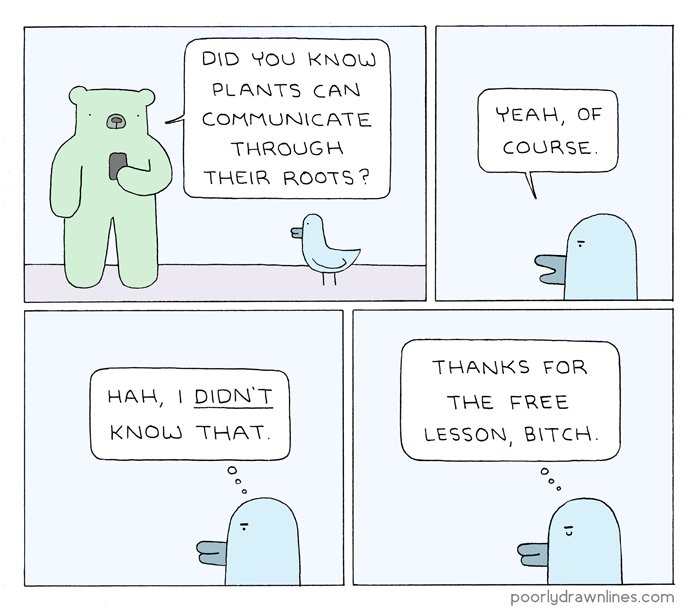 did you 