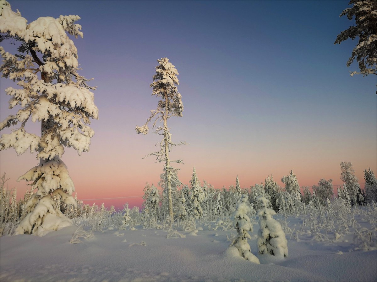 CerveraMaestre's tweet image. -23C