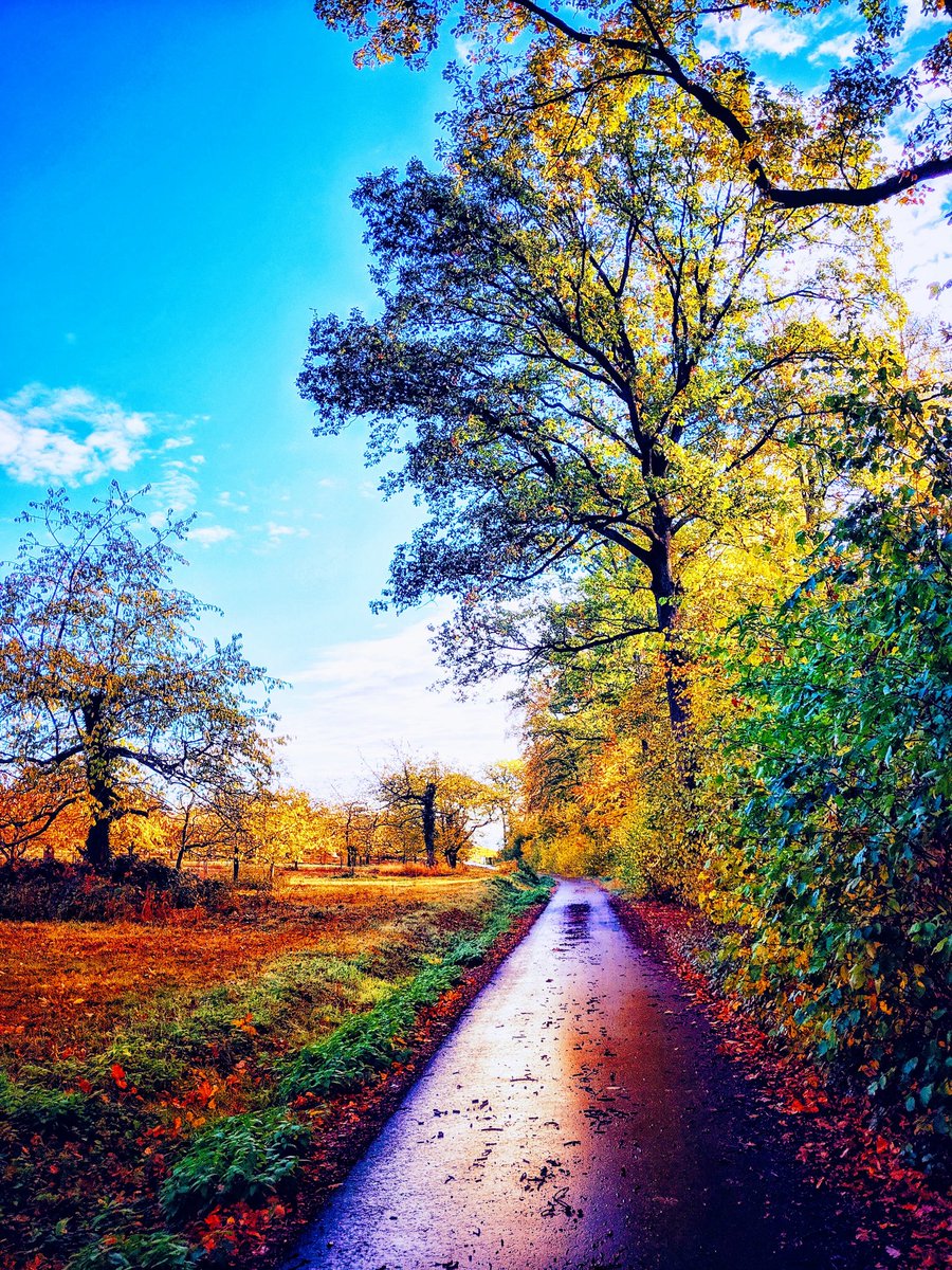 after an autumn rain