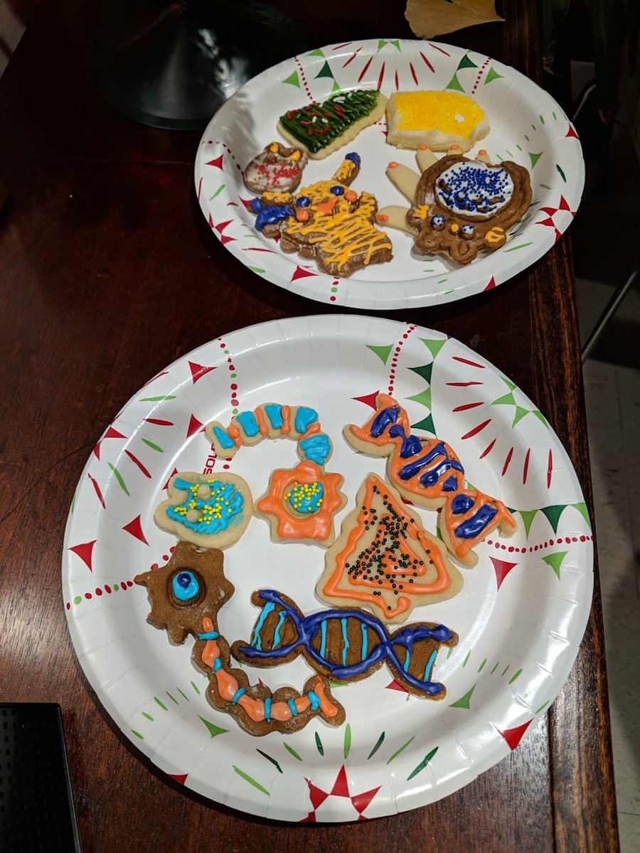 UIMichaelson's tweet photo. Happy holidays from the Michaelson Lab! We celebrated with cookies and a  white elephant gift exchange. We had some fun cookie designs this year  including a brain and a 3D dinosaur gingerbread cookie. #happyholidays2018 #CookLikeaPro #baking #gift #researcher #Science https://t.co/pDDnFownVN