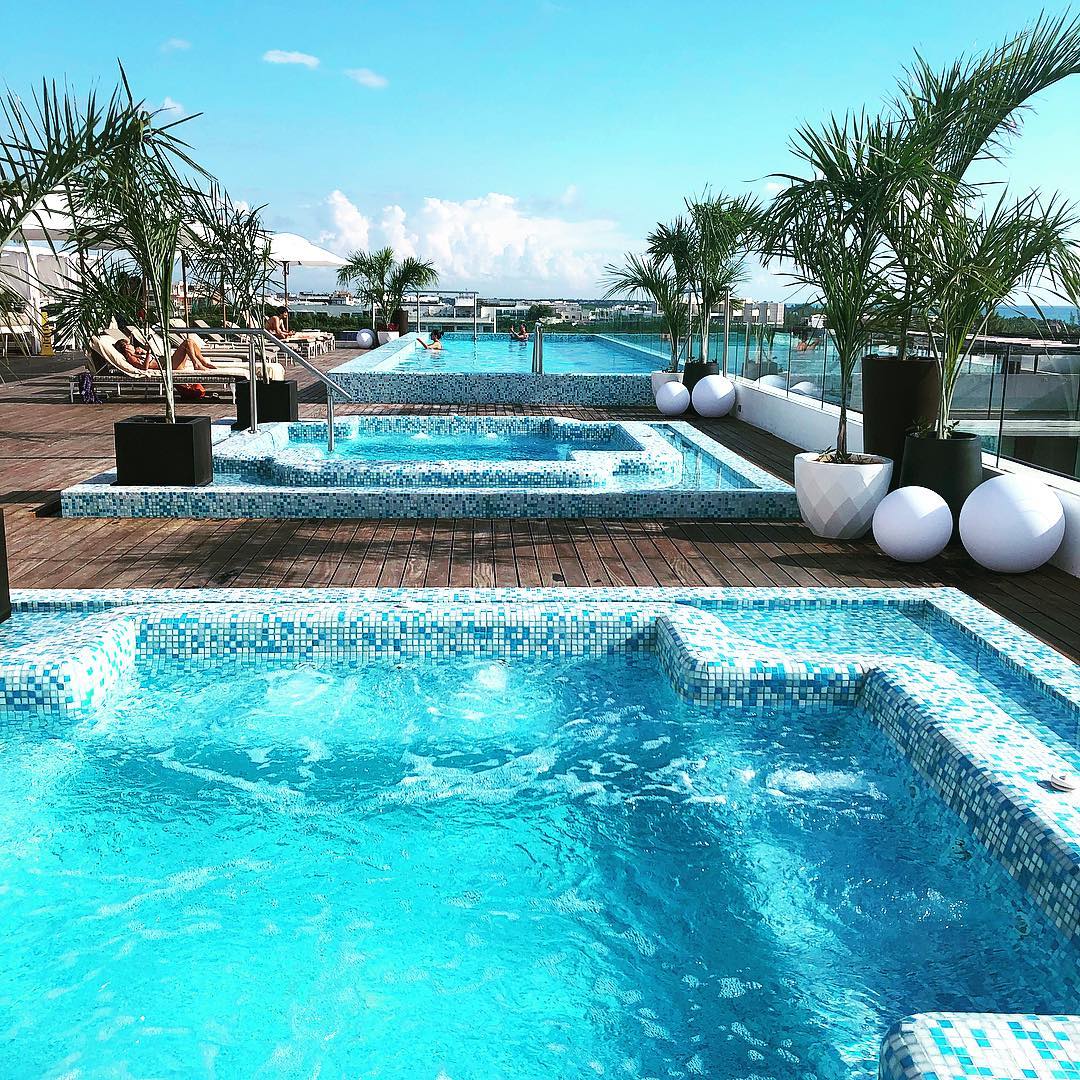 The Reef 28 tweet media