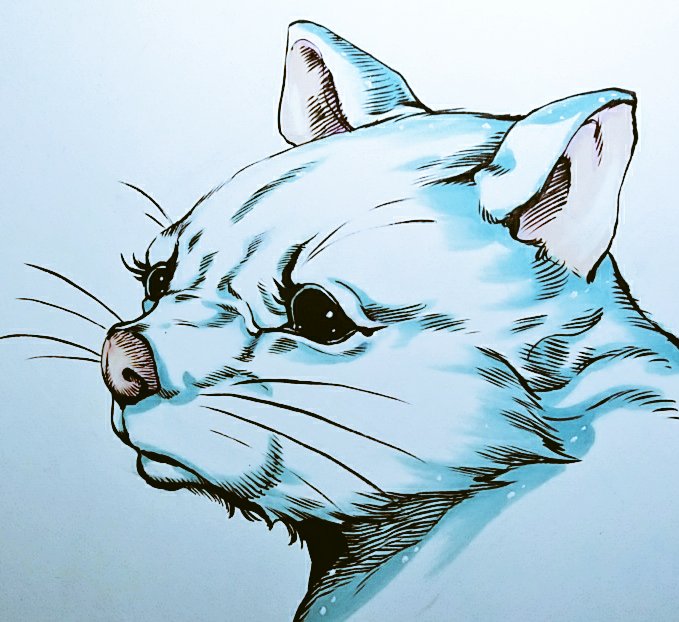 「猫じゃ～ない! 」|尾松知和のイラスト