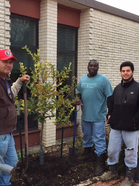 STMParishSchool's tweet photo. A beautiful Chinese Fringe Tree was planted in the STM Prayer Garden today in honor of Curran Rehm, a former student who passed away recently. This tree will remind us of Curran's love of nature and devotion to God's creations.
#Prayer Garden https://t.co/AITWC0XIoC