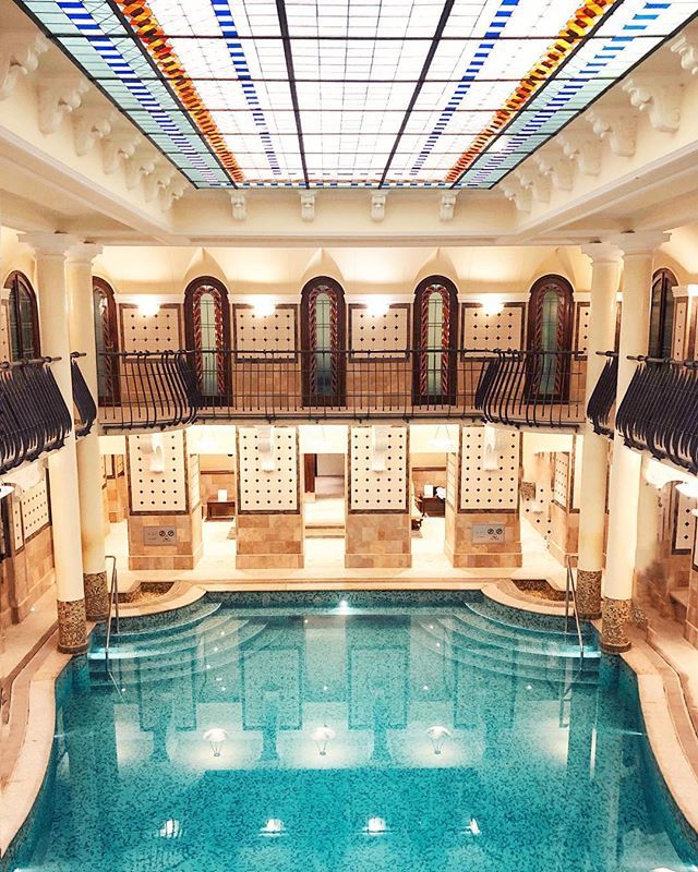 Mohamed Zohny tweet media