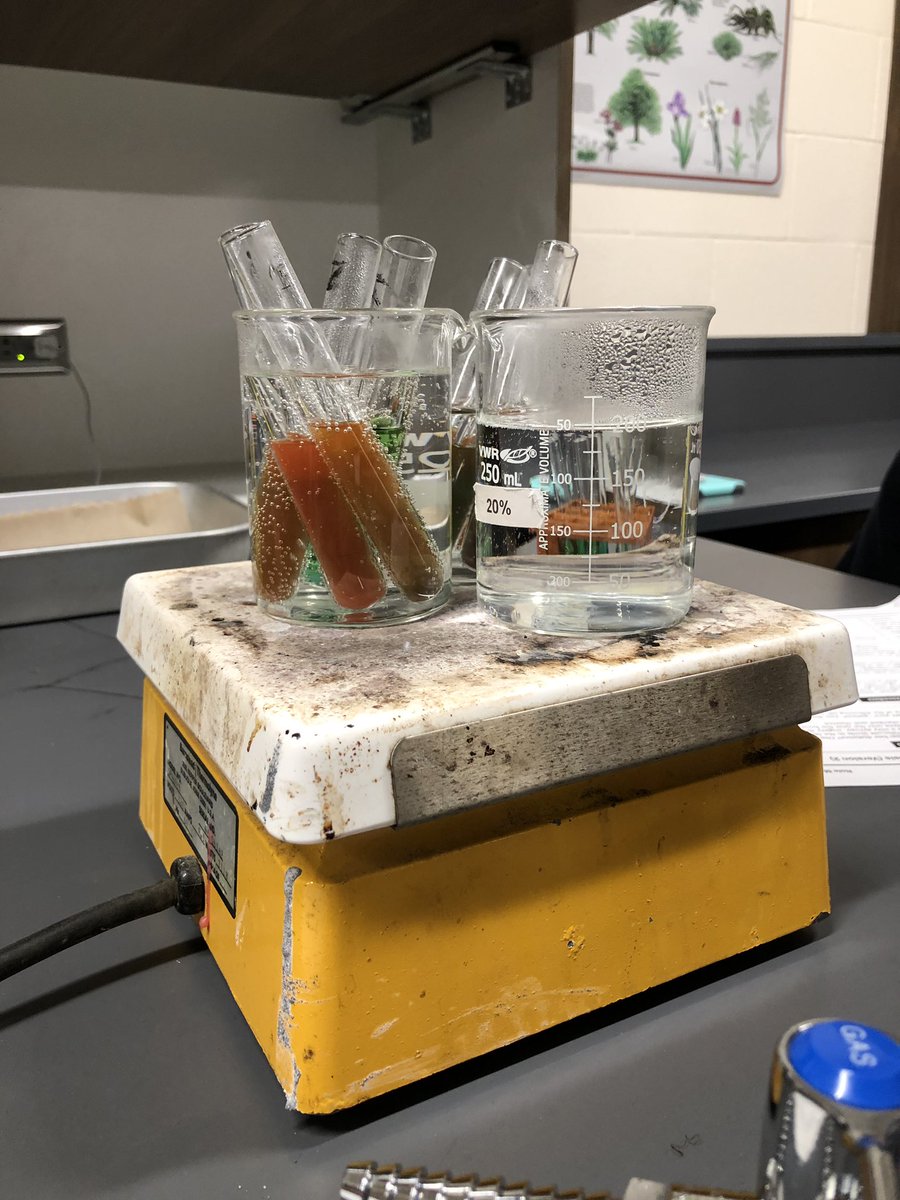 warriorsci1's tweet image. Advance Biology began their macromolecule unit last week. They will spend a detailed amount of time on each class, starting with carbohydrates. Here they analyzed glucose levels of three patients to determine if they were diabetic or not. #warriorstrong #sciencestrong #apbiolife