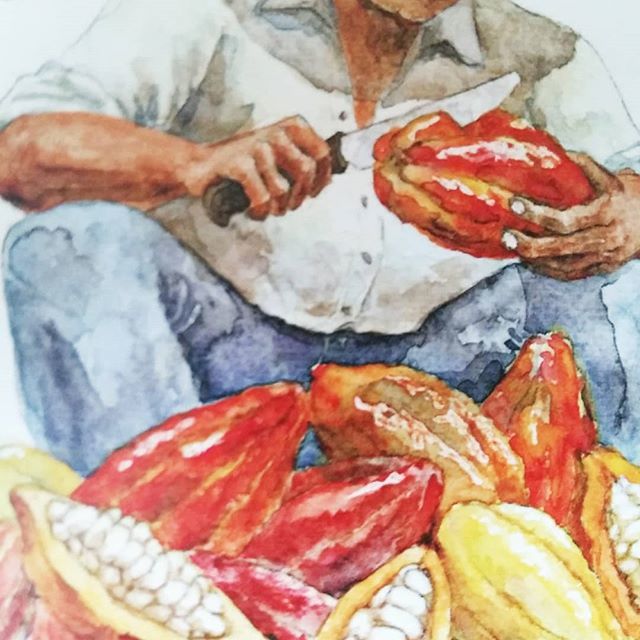 delikats_com's tweet photo. ☃J-8 avant Noël ! ☃ 
Saurez-vous retrouver la tablette qui se cache derrière cette photo ? 😄

#beantobar #cacao #christmas #noel #chocolat #chocolateaddict #lovechocolate https://t.co/2V7mJ3yOOS https://t.co/GVxfwF84Ko