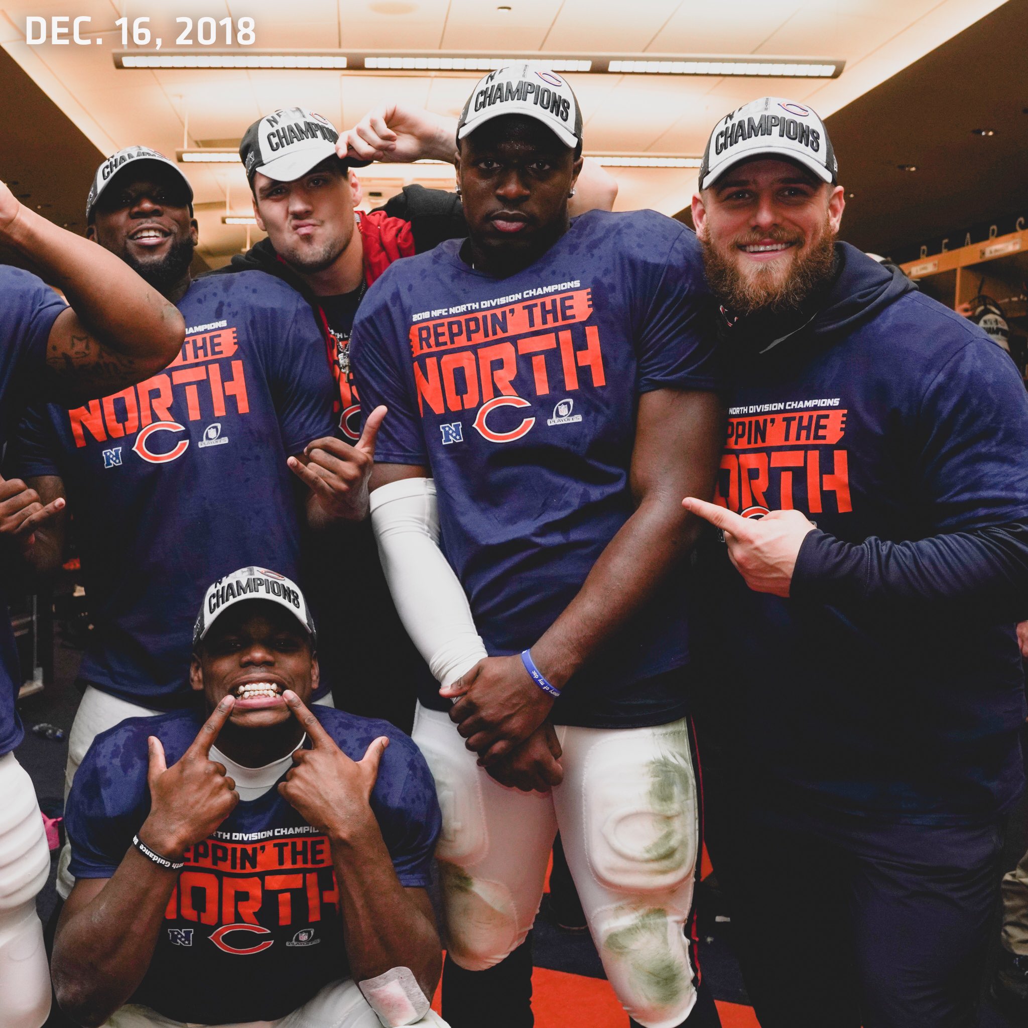 bears nfc north champs hat