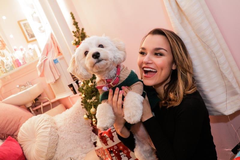 Sam Barks Updates tweet media
