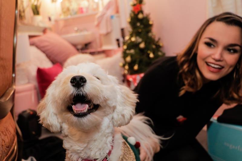 Sam Barks Updates tweet media