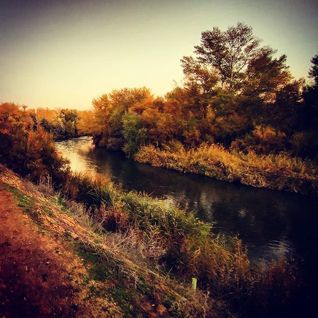 JDonosoP's tweet photo. Camino junto al río
.
.
➖ ➖ ➖ 🍁 ➖ ➖ ➖ .
.
#river #rio #riojarama 
#rivasvaciamadrid #rivas #madrid #españa #spain 
#otoño #autumn #otoño2018 
#naturephotography #naturelovers #placestogo  #beautifulplaces #beautifuldestinations #neverstopexplorin… https://t.co/z0No0LQaP8 https://t.co/2vtqWol9QZ
