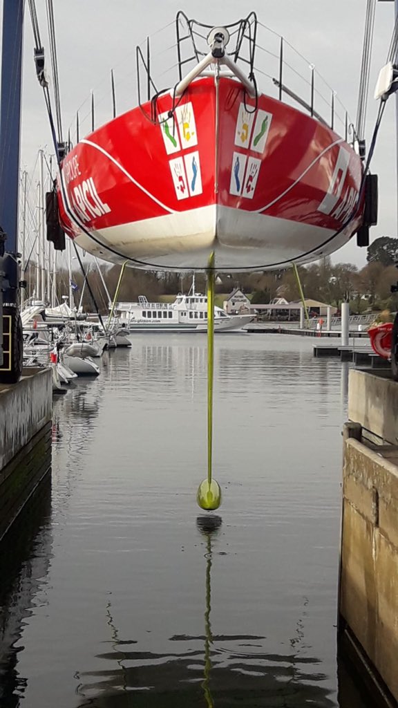 Damien Seguin tweet media