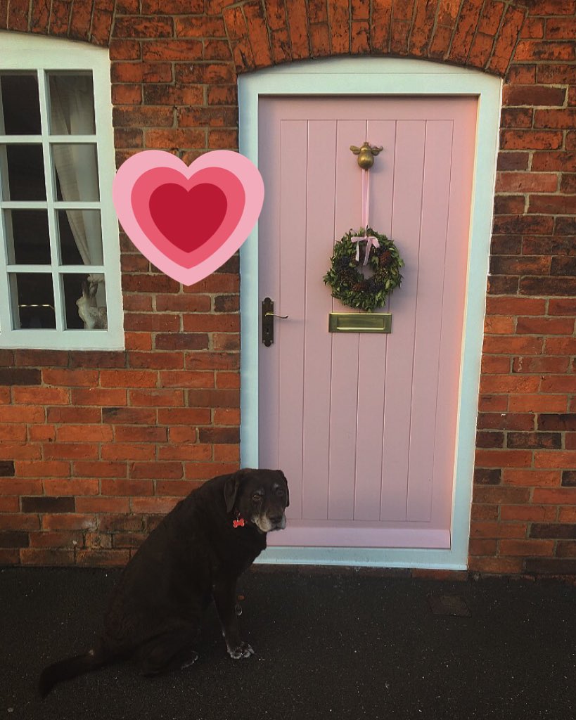 Our home 🏡🐶💗