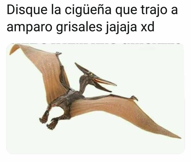 DanielaHuertasB's tweet photo. JAJAJAJAJAJAJAAJAJAJAJAJAJAJAJAJAJ https://t.co/itfs2JvcJs