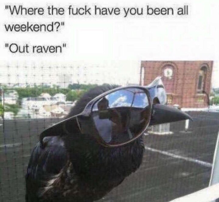 Iamtherealgoose's tweet photo. @RavenVictoria95 https://t.co/OoNjz3hpg5