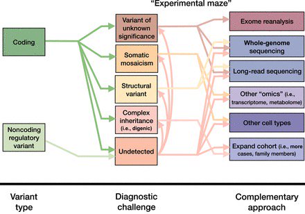 Where to go for rare disease diagnoses after exome sequencing fails? Excellent review of the options by @LaureFresard and @sbmontgom: m.molecularcasestudies.cshlp.org/content/4/6/a0…
