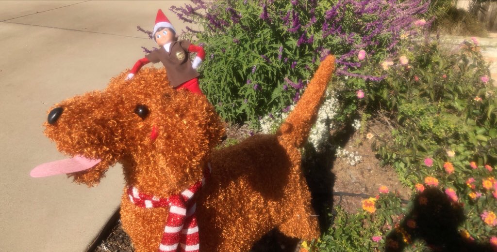 Met a cute pupper! Or is it a doggo? Either way, I really liked his shinny coat! 🎅🏼📦🐶#peaksmiles #staycalmhavefun #chino <a href="/jrindafernshaw/">Fern Shaw</a> <a href="/erockspark/">Erik Spark</a> <a href="/cucetom/">Tom Cuce</a> <a href="/coronacenterUPS/">Corona Center</a> <a href="/MorabitoKeith/">Keith Morabito</a> <a href="/UPS/">UPS</a> <a href="/UPSers/">UPSers</a> @SouthCalUPSers <a href="/ABC7/">ABC7 Eyewitness News</a> <a href="/FOXLA/">FOX 11 Los Angeles</a> @benjaminmrogers <a href="/DEncaladeUPS/">Don Encalade</a>