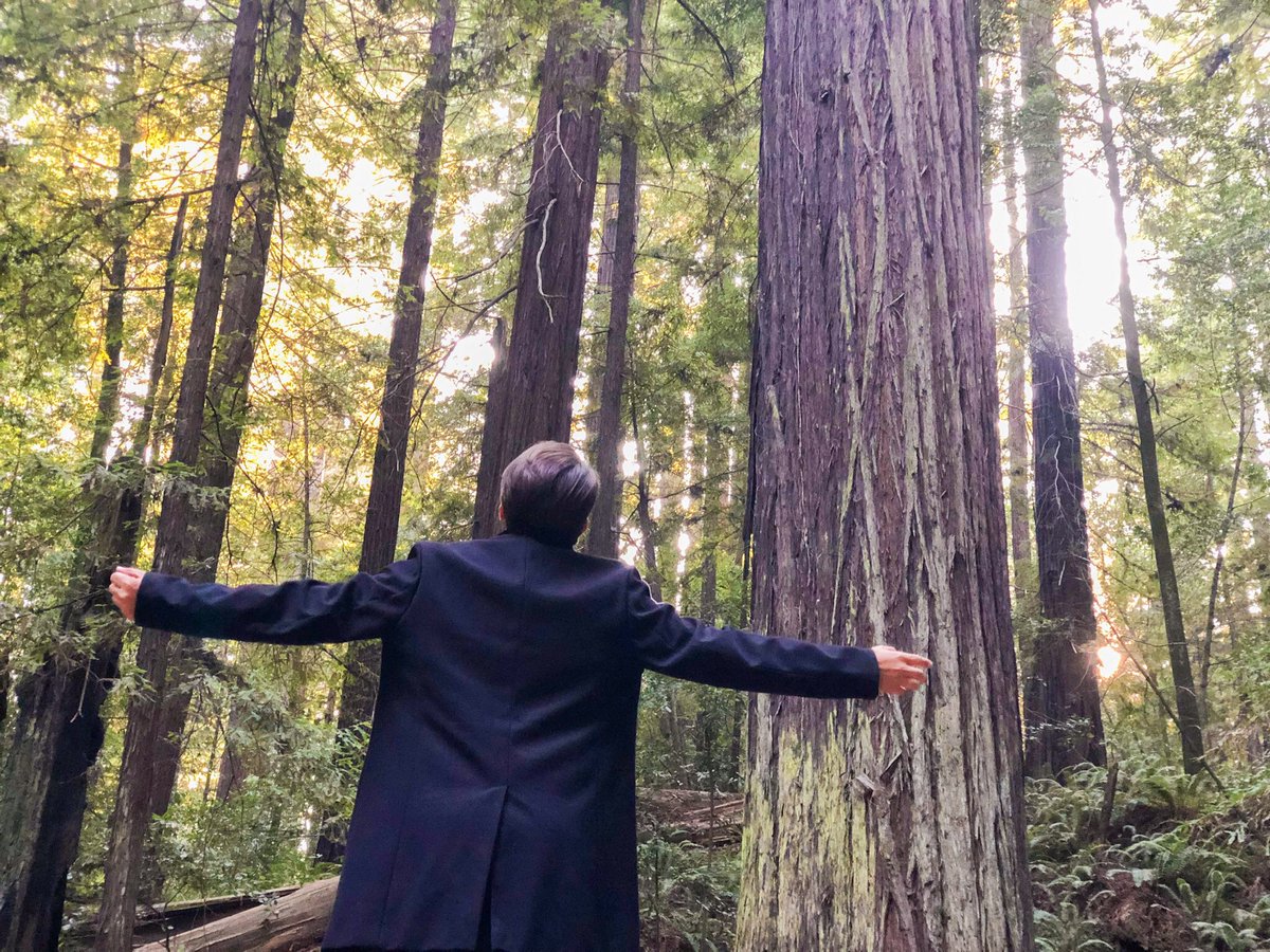 VdD7Global's tweet photo. REDWOODS: Sentinels of Light
Does nature give glory to the Most High?... Continue reading in our blog: https://t.co/OrQ1Bbe9S9 🇺🇸 #vdd7 #cali #redwoods #awt #california #mightymenofdavid #usa #trees #moed #valientesdedavid #tevet #forest #worship #lighthouse #prophetic #message https://t.co/Xn5sJ3VE9Z
