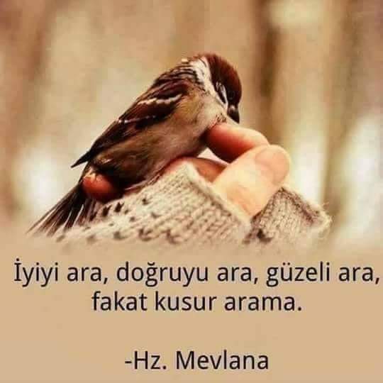 "İyiyi ara,
doğruyu ara,
güzeli ara,
fakat kusur arama."

#Mevlana 
Hz. Mevlana’yı 745. Vuslat 
Yıl Dönümü’nde; Rahmetle Anıyoruz.
#ŞebiArus