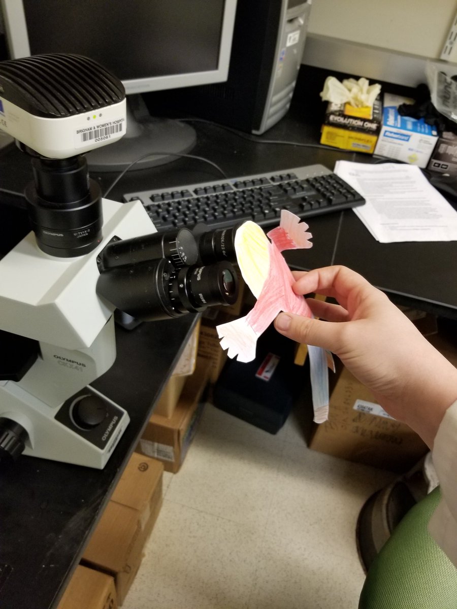 Cathal Harmon tweet media