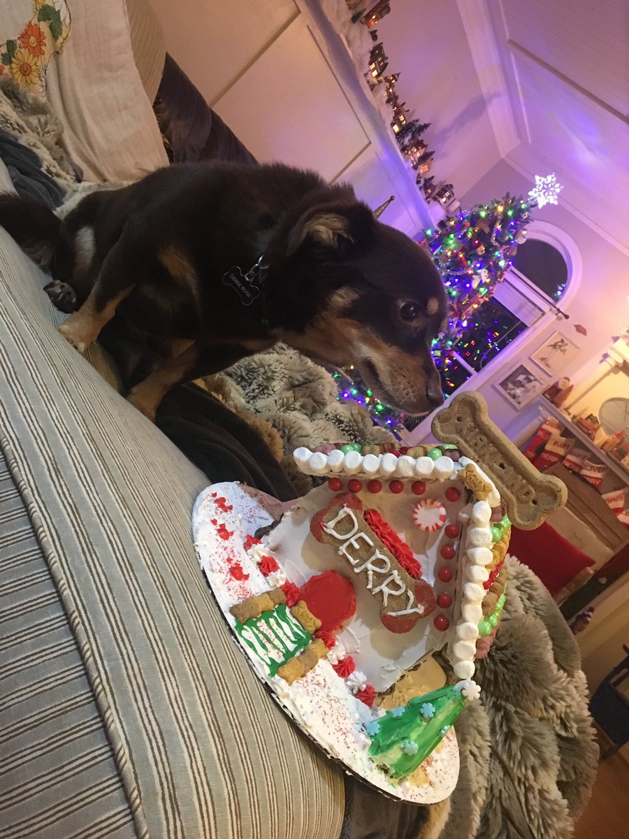 trojandm's tweet photo. Happy Howlidays! Santa Paws wants you to donate to TDM! #ftk #day4 https://t.co/F7aJlOuph5