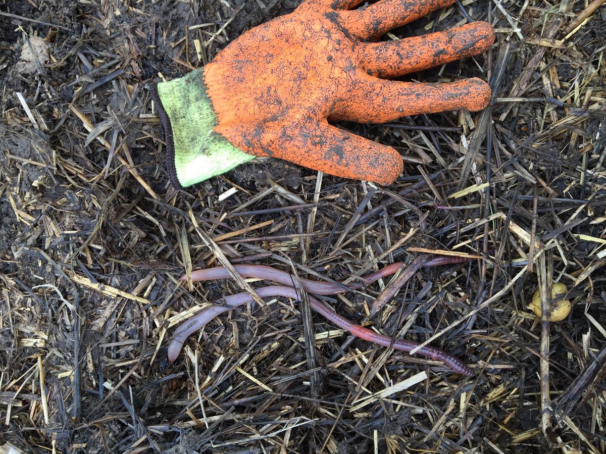 Groundswell tweet media