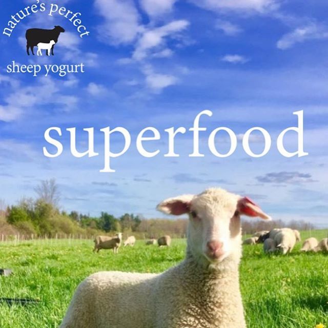 Old Chatham fans!  We have a new Insta handle:  join us for big creamery news!  <a href="/old/">old</a>.chatham.creamery ift.tt/2BoI4rD