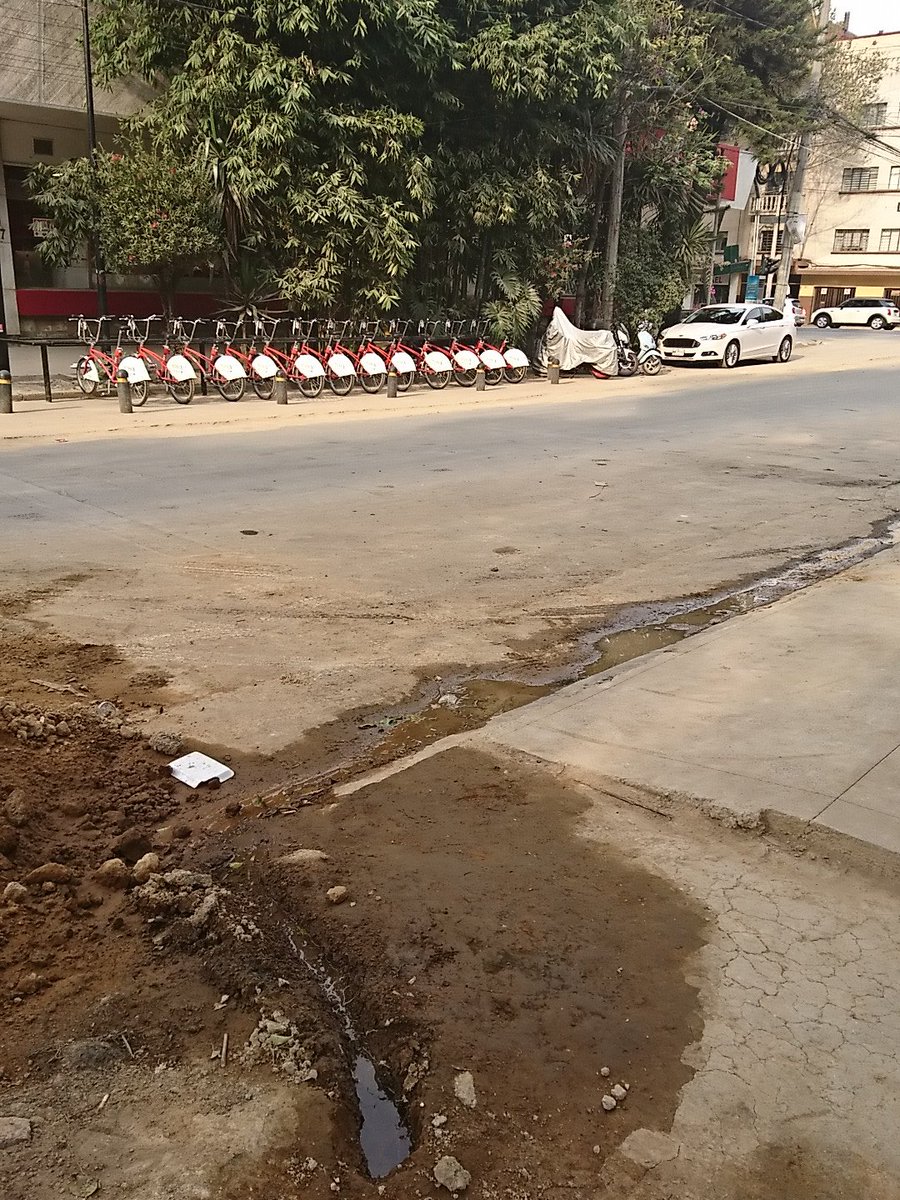 Brenit Véliz tweet media