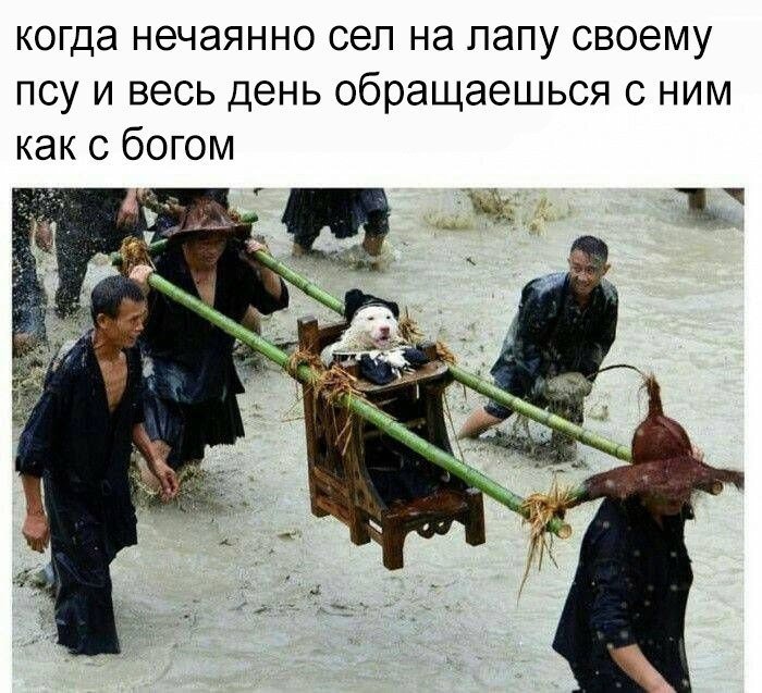DupnmQoWoAAk6mc.jpg