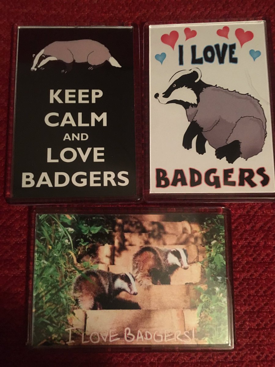 Anyone would think I like badgers...#belatedbirthdaypresent