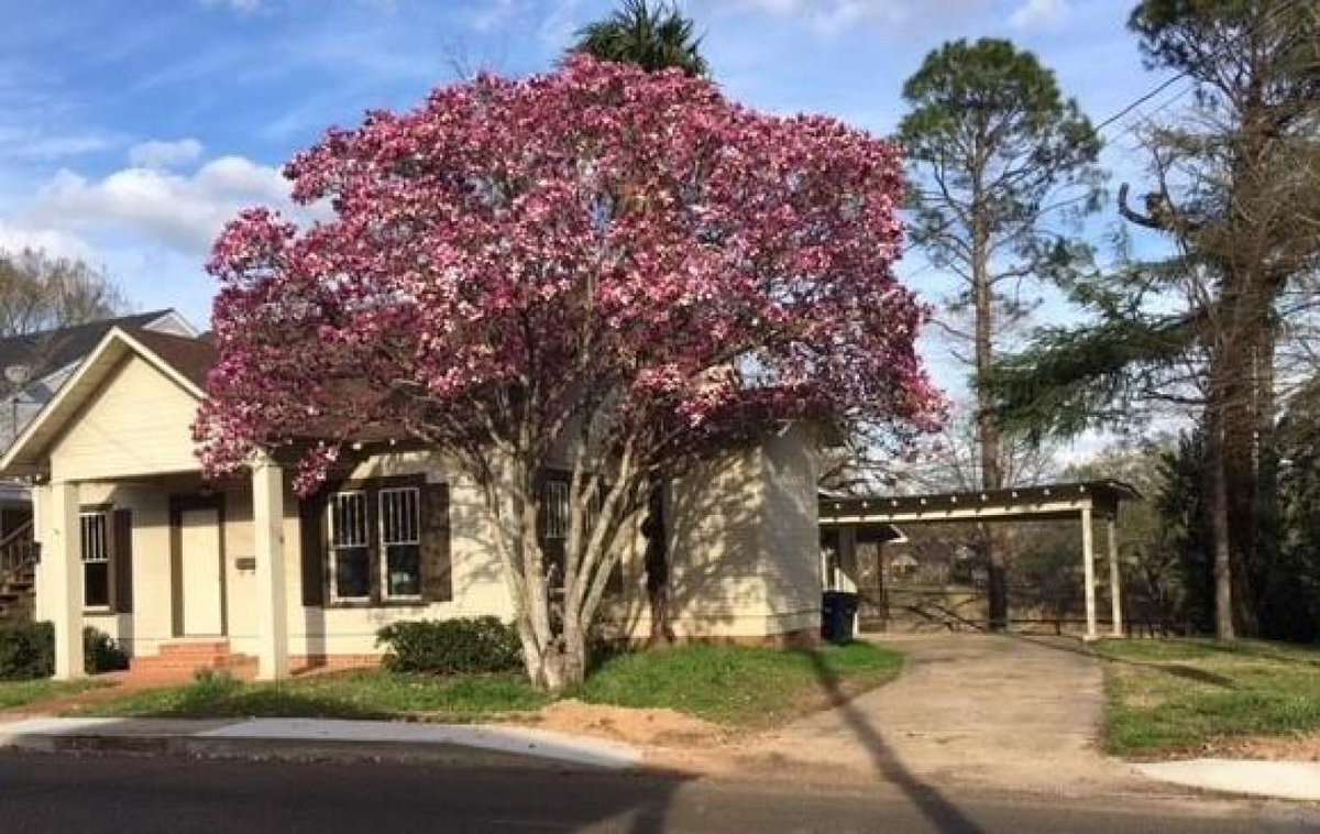BoltonRealtyLA's tweet photo. Imagine turning the key to open your beautiful new home. #beautifulhome #homesforsale  https://t.co/q7RFLvB4cp https://t.co/FWUQK7LgYK