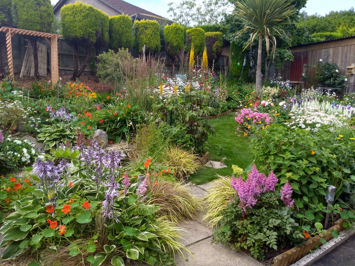 thegreen_room_'s tweet photo. @giftedgardener0 #heatwave2018 https://t.co/rdlVGwPZjx