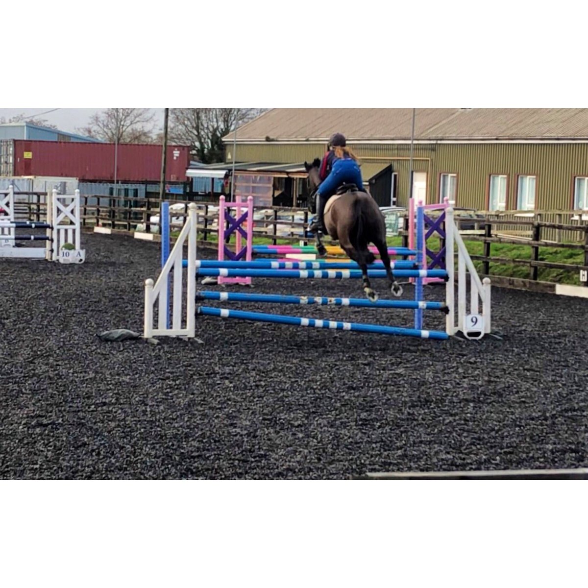 Flying in our lesson today 😁😍 #HorseHour #EquineHour #RiderHour #EquestrianHour